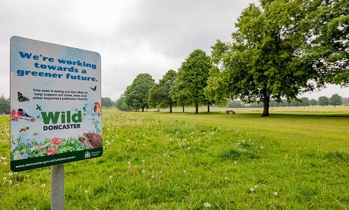 A naturalisation site on Town Fields 